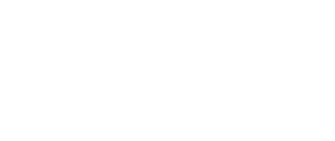 SoftTouch logo